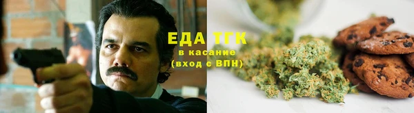 крисы Медногорск