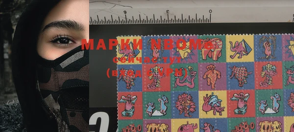 шишки Великий Новгород