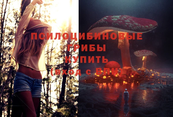 крисы Медногорск