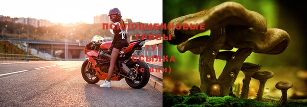 дмт Мегион